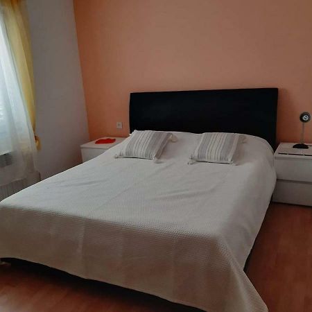 טרוגיר Apartman Lucija מראה חיצוני תמונה